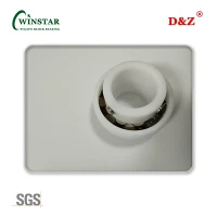 Thermoplastic Bearings